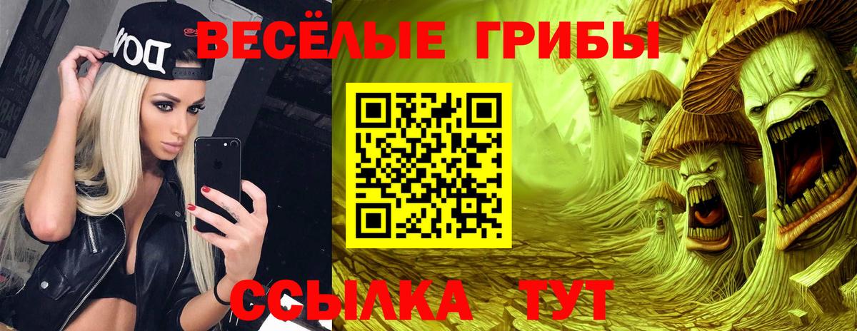 Верхняя Пышма  Псилоцибиновые грибы ЛСД  Вход с VPN 
