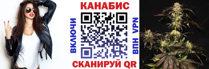 мега как войти  Верхняя Пышма  Бошки марихуана сатива 